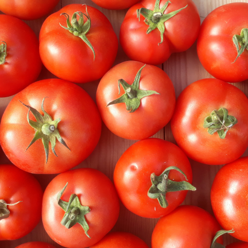 Légumes bios de Suscinio:  le goût des tomates