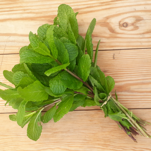 Menthe botte