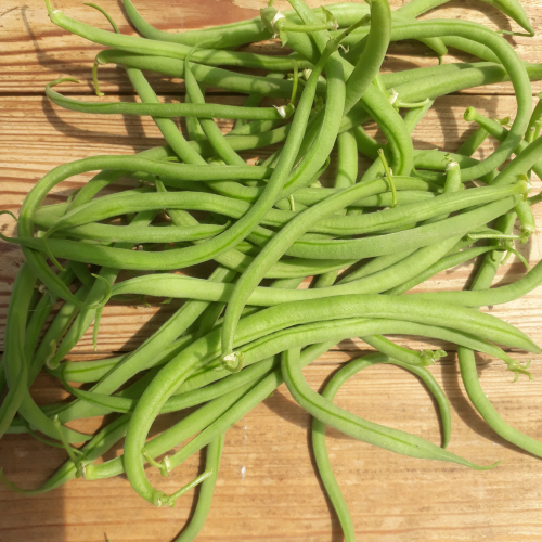 Haricots verts