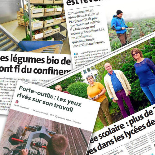 Revue de presse