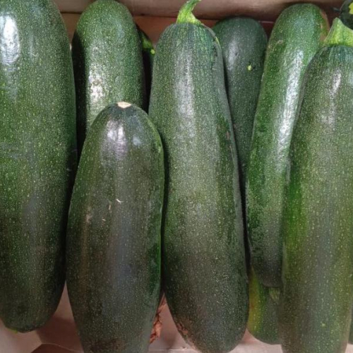 PROMO  courgette 6 kg