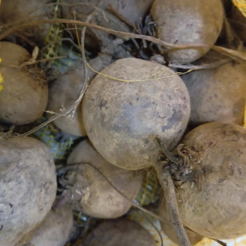 PROMO 10 kg de Betterave rouge