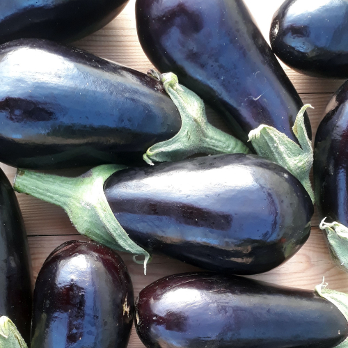 Aubergines