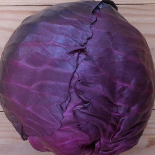 Chou rouge lisse