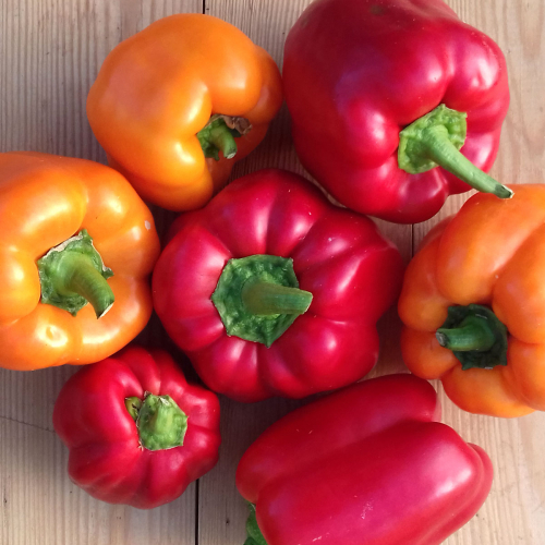 Poivrons de couleur