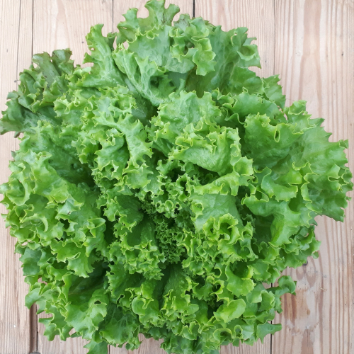 Salade