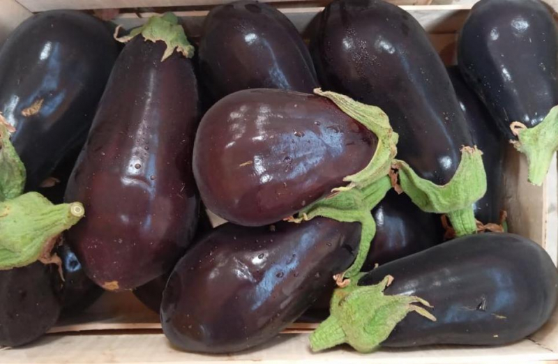 PROMO Aubergine 5 kg