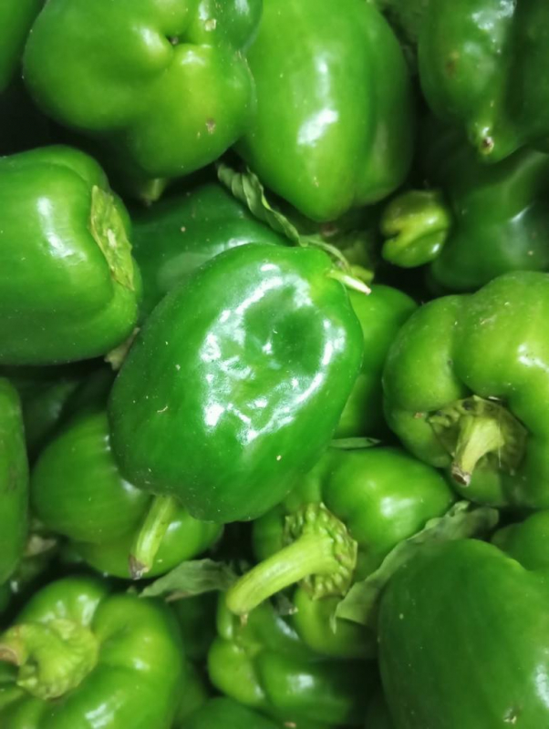 PROMO Poivrons 3 kg