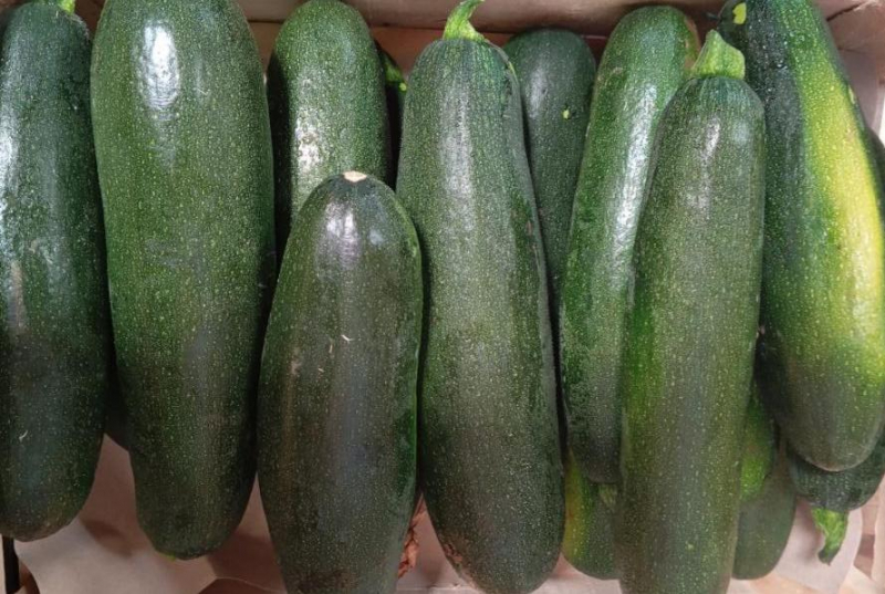 PROMO  courgette 6 kg
