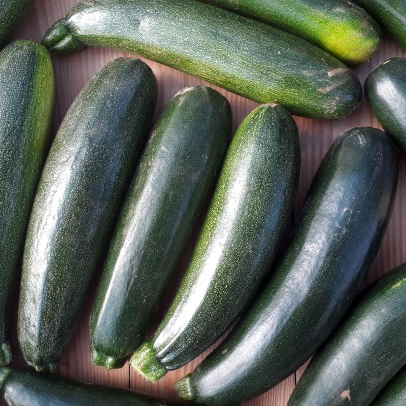 Courgettes