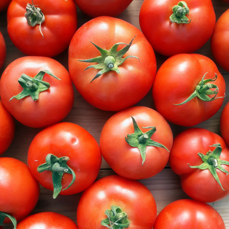 Tomates rondes