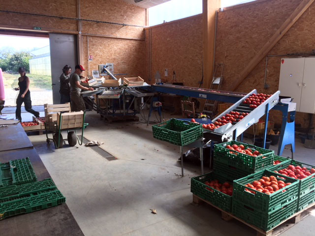 Une exploitation agricole au coeur d’un lycée